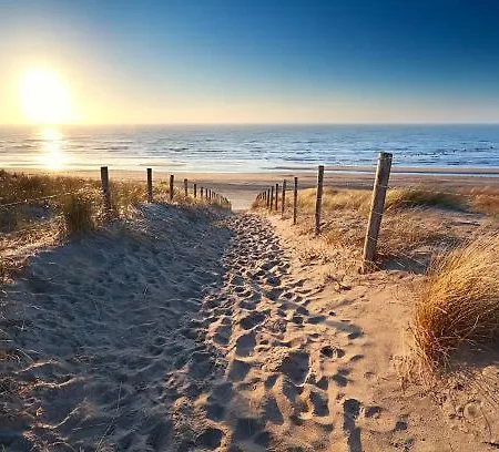 Dani Aan Zee - - Free Parking *