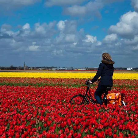 Dani Aan Zee - - Free Parking Lejlighed