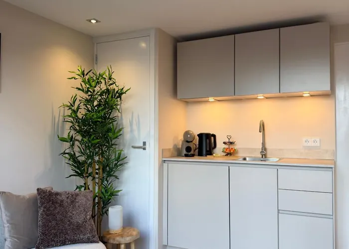 Dani Aan Zee - - Free Parking Apartment Zandvoort