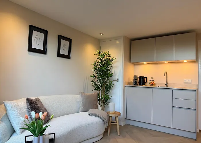 Dani Aan Zee - - Free Parking Apartment Zandvoort