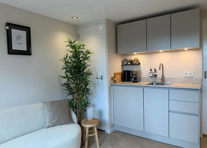 Dani Aan Zee - - Free Parking Apartment Zandvoort